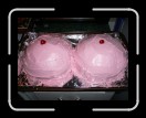 2006-1021-OctoberBreast 006 * 2560 x 1920 * (2.16MB)